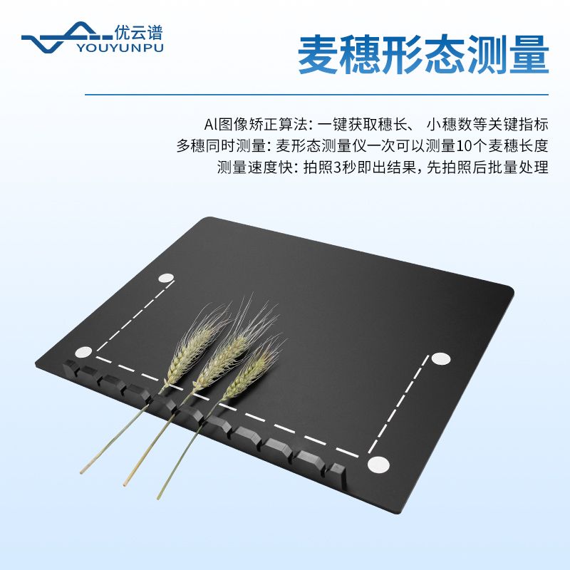 小麥表型分析系統