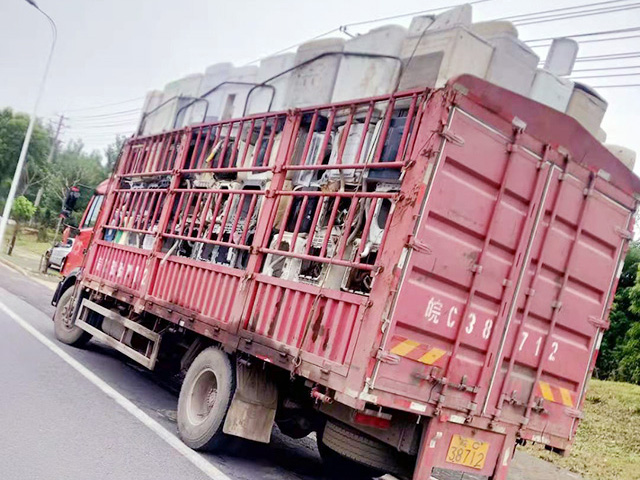 �U�f�O������Ј��F(xi��n)��