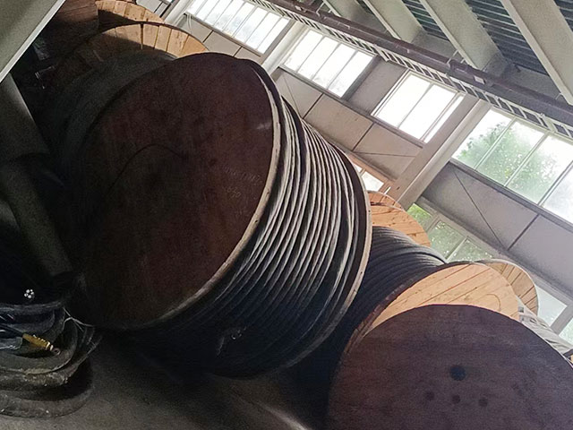 �U�f�O�����